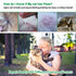 Dewel Herbal Cat Puppy Collar Anti Flea Mosquitoes Ticks Waterproof Cat Flea Collar for Small Dog Pet 8 Months Protection