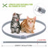 Dewel Summer Anti-insect Cat Dog Collar Anti Flea Mosquitoes Ticks Waterproof Cat Flea Collar for Pet 8 Months Protection
