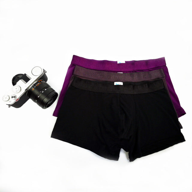 Mens Underwear Boxers Transparent Sexy Underpant Summer Shorts Mens Boxer Underwear Male Sexy Knickers Penis Pump Underwears