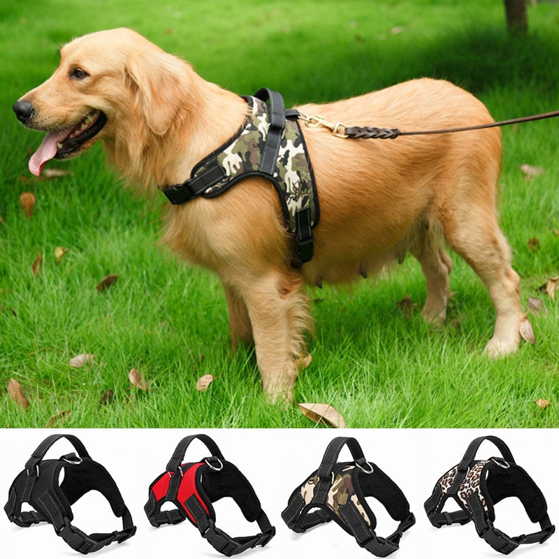 Coleira resistente de nylon para animais de estimação, coleira acolchoada ajustável, extra grande, médio e pequeno, colete para cães husky, suprimentos